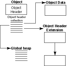 HDF5 Objects